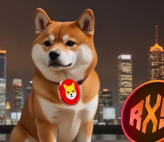 Shiba Inu and Dogecoin Constructed Fortunes in 2021, However The Subsequent Large Crypto Millionaires May Maintain These 2 Cash