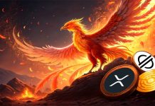 Submit-Dip Comeback: three Cash Positioned to Lead the Subsequent Bull Market