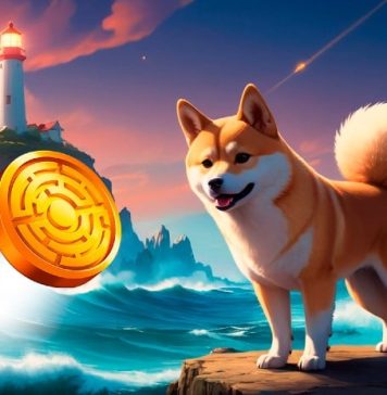 Dogecoin’s Success Validates Meme Cash, Is MTAUR Main the Subsequent Step? Dogecoin’s Success Validates Meme Cash, Is MTAUR Main the Subsequent Step?