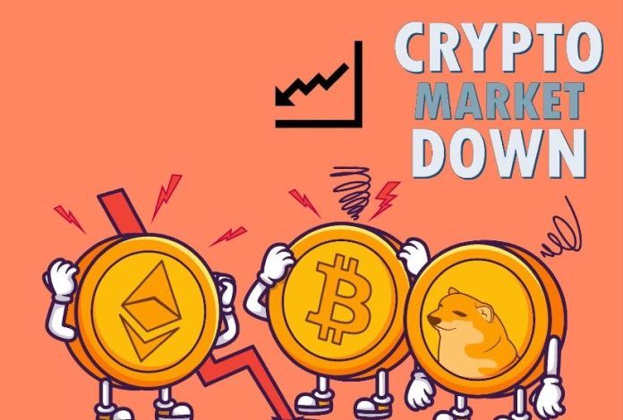 Crypto Market Down, However This One Presale Coin Is Defying the Pattern By Elevating 116Ok in Hours