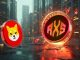 A Small $500 Portfolio May Explode to $100000 in 7 Weeks with This Shiba Inu (SHIB) Various. A Small $500 Portfolio May Explode to $100000 in 7 Weeks with This Shiba Inu (SHIB) Various.