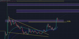 How Low Can Dogecoin Go Earlier than It Rebounds? Skilled Forecasts
