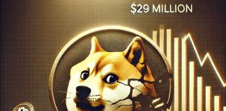 Dogecoin Dives: $29 Million Disappears Throughout Market Collapse —Knowledge