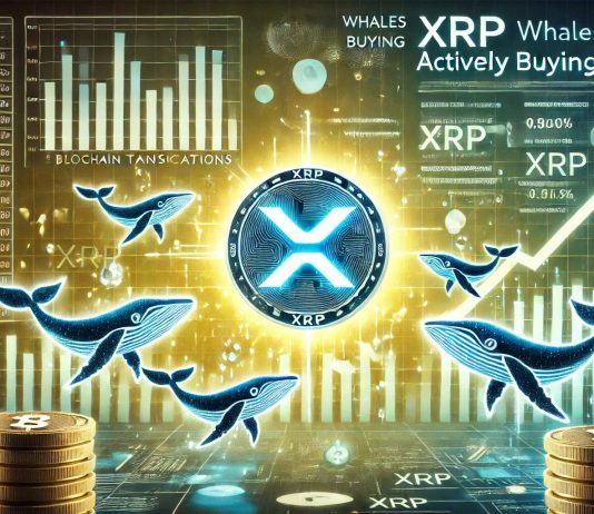 XRP Whales Loading Up – Knowledge Reveals Shopping for Exercise