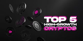 5 Greatest Crypto Cash to Put money into Proper Now as This New Layer 1 Challenge’s Presale Continues to Rise