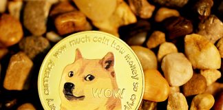 Dogecoin Value Above $10: Historic Knowledge Reveals How Excessive DOGE Will Go This Bull Cycle