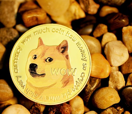 Dogecoin Value Above $10: Historic Knowledge Reveals How Excessive DOGE Will Go This Bull Cycle