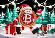 Why Staking FXG Is a Smarter Wealth Technique Than Holding XRP