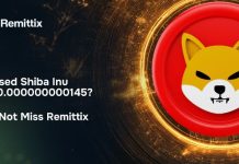 SHIB Holders Search New Alternatives After Discovering Shiba Inu Whale Holding Over 10% Of Provide