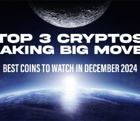 Securing the Future Three Greatest Cryptos to Purchase and Maintain for Lengthy Time period Success in 2024 and Past