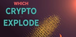 6 Finest Alt Cash You Should Personal Earlier than 2025’s Bull Run – Which Cash Will Explode in week 1 of January?