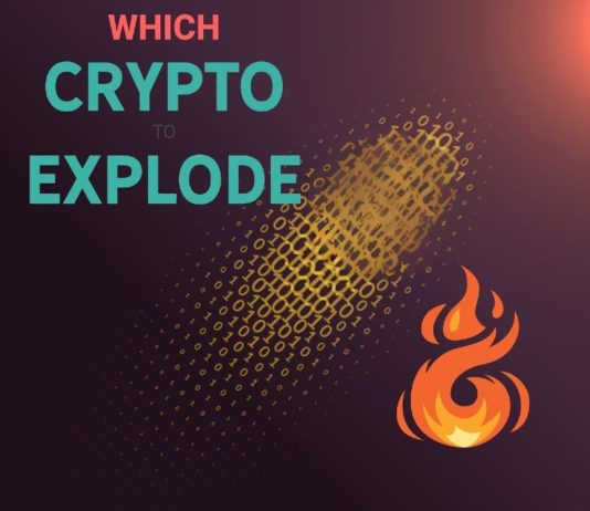 6 Finest Alt Cash You Should Personal Earlier than 2025’s Bull Run – Which Cash Will Explode in week 1 of January?