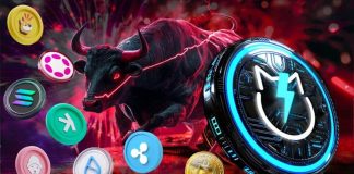 Greatest Cryptocurrencies to Make investments on this Bull Run | High 10 Crypto Cash to Purchase Now for 2025