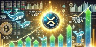 XRP Whales Maintain Shopping for – Information Reveals Sensible Cash Prepares For A Rally