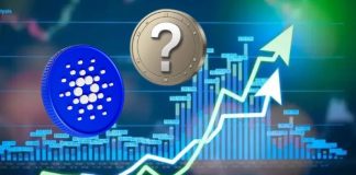 Put together for Cardano’s 2025 Surge: ADA and a Hidden Gem Able to Rock the Crypto World