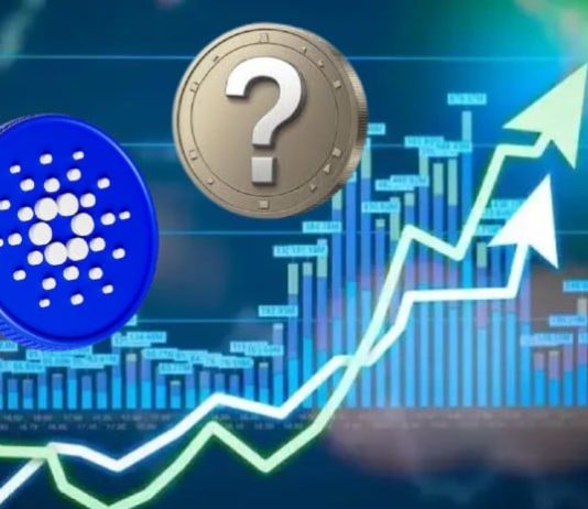 Put together for Cardano’s 2025 Surge: ADA and a Hidden Gem Able to Rock the Crypto World