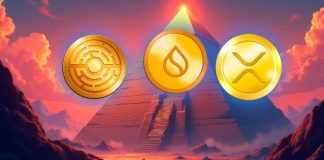 From 500 to 10Ok USDT: High Development Rivals and Who Will Compete with XRP and SUI in 2025?
