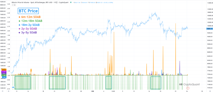 Who Profited Throughout Bitcoin’s $100,000 Surge? Analyst Breaks Down the Knowledge
