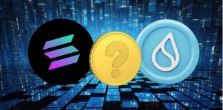 New Blockchain Poised to Surpass Solana and SUI in 2025 Crypto Bull Run 