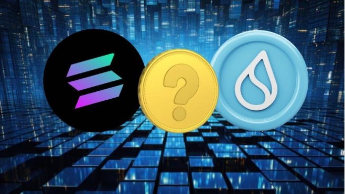 New Blockchain Poised to Surpass Solana and SUI in 2025 Crypto Bull Run 