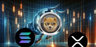 High four Should-Purchase Altcoins Prepared for Huge Development in 2025