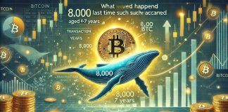 Bitcoin Whale Strikes 8,000 BTC Aged 5-7 Years – What Occurred Final Time