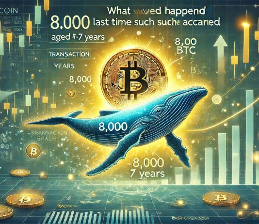 Bitcoin Whale Strikes 8,000 BTC Aged 5-7 Years – What Occurred Final Time
