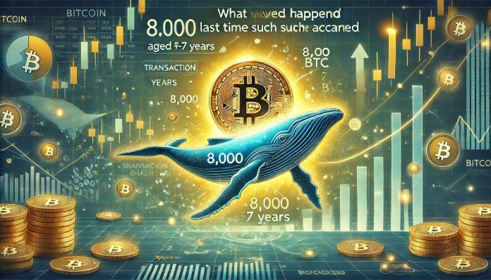 Bitcoin Whale Strikes 8,000 BTC Aged 5-7 Years – What Occurred Final Time
