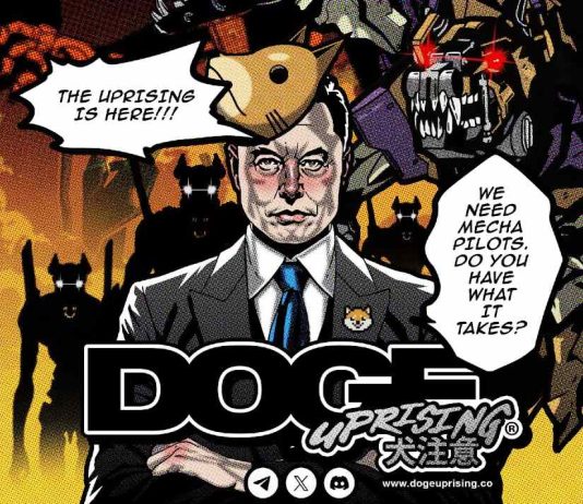 How To Make Cash On-line For Newbies: Doge Rebellion Presents Excessive ROI, NFTs & Staking To Generate Passive Revenue How To Make Cash On-line For Newbies: Doge Rebellion Presents Excessive ROI, NFTs & Staking To Generate Passive Revenue