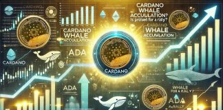Metrics Reveal Cardano Whale Accumulation – Is ADA Poised For A Rally?