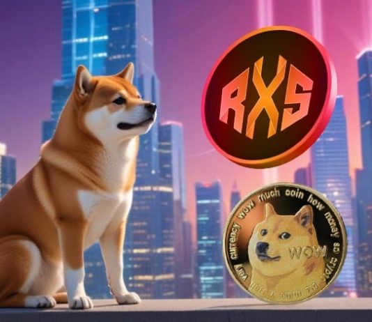 Dogecoin (DOGE) Gained’t Make You Tremendous Wealthy in 2025, This DOGE Substitute Would possibly
