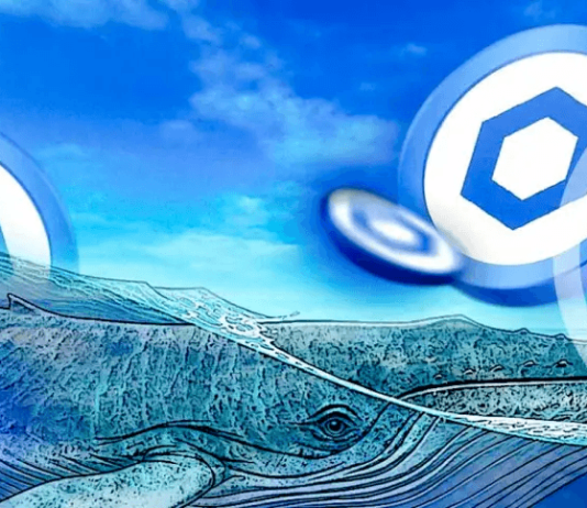 Chainlink Whales Accumulate $77 Million LINK Amid Value Correction – Particulars
