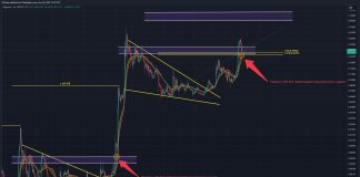 Dogecoin Teeters Between ‘Worth Discovery’ And ‘Disaster’: What’s Subsequent?