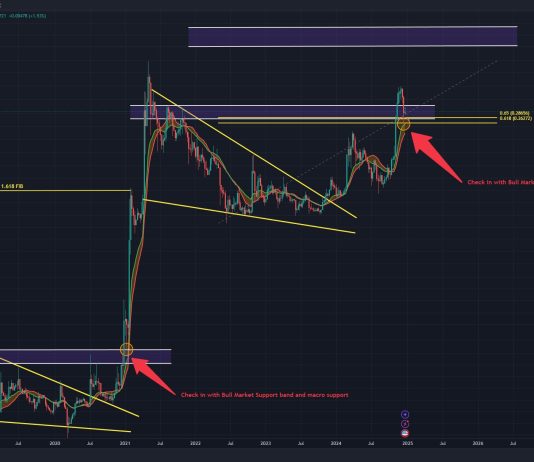 Dogecoin Teeters Between ‘Worth Discovery’ And ‘Disaster’: What’s Subsequent?