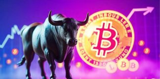 Eight Finest Cryptos to Purchase Now That May Dominate the Upcoming Bull Run in 2025