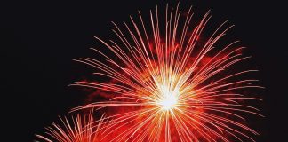 Altcoins To Explode In Early 2025: Analyst Says “Grand Finale” Is Round The Nook