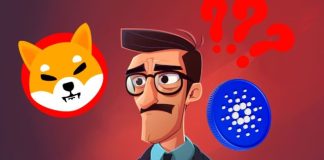 Shiba Inu and Cardano Buyers Endure Losses Whereas This Hidden Gem Gears Up for Potential 9,600% Beneficial properties
