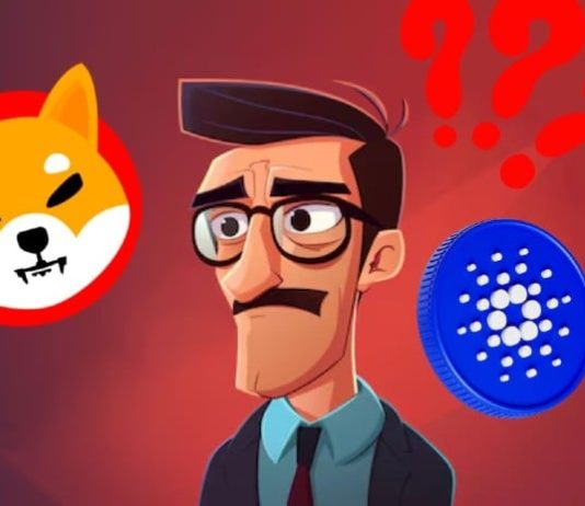 Shiba Inu and Cardano Buyers Endure Losses Whereas This Hidden Gem Gears Up for Potential 9,600% Beneficial properties