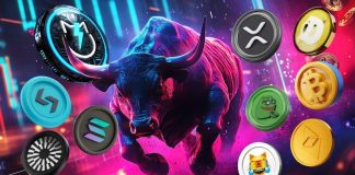 Finest Cryptocurrency to Put money into Now | Prime 10 Crypto Cash To Purchase Now for the Bull Run 2025