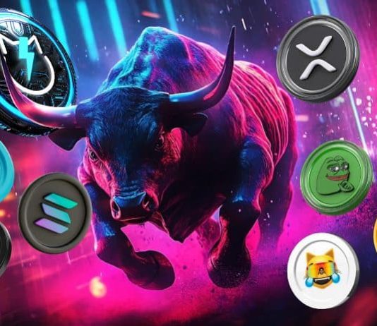 Finest Cryptocurrency to Put money into Now | Prime 10 Crypto Cash To Purchase Now for the Bull Run 2025