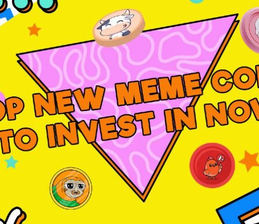 Dips to Riches: Four Finest Meme Coin Presales to Purchase At this time and Multiply Your Positive aspects