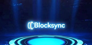 Rent Blocksync to Create the Subsequent Pepe Coin and Launch Your Cryptocurrency Presale for 2025