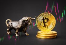 5 Low-Cap Crypto to Purchase That May Explode 100x in 2025