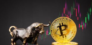 5 Low-Cap Crypto to Purchase That May Explode 100x in 2025