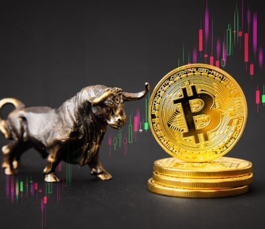 5 Low-Cap Crypto to Purchase That May Explode 100x in 2025