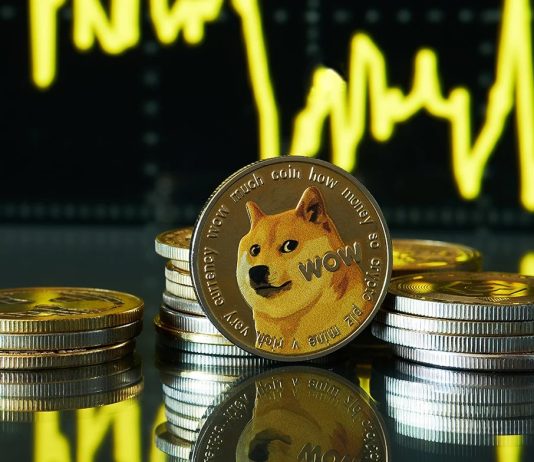 Dogecoin Restoration In Sight: Robust Help Hints At Bullish 2025