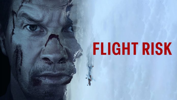 Flight Danger: Buckle Up for one more Excessive-Flying Thriller
