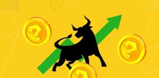 Underrated Cryptos Prepared for Explosive Development within the 2025 Bull Market