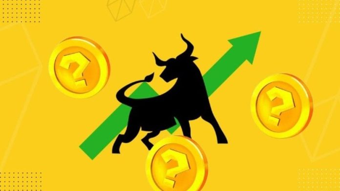 Underrated Cryptos Prepared for Explosive Development within the 2025 Bull Market