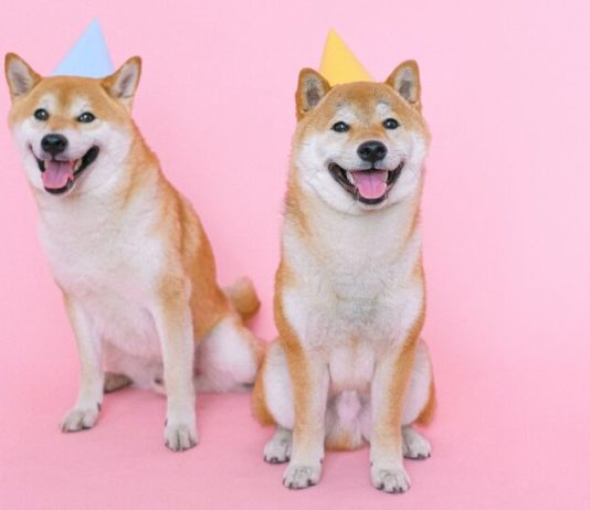 Galaxy Digital Reveals Daring Dogecoin Worth Prediction For 2025